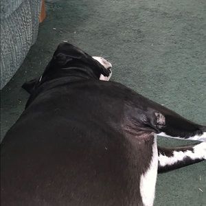 Meet your Posher, Debra